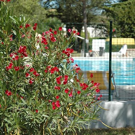 מלון Camping Aquiléia מראה חיצוני תמונה